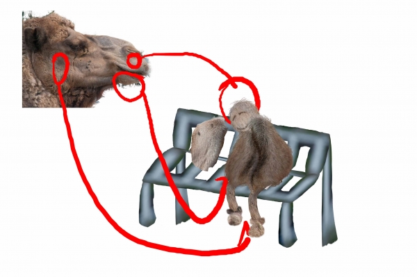 Creation of In love: Step 3